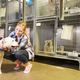 Image for article titled Choosing The Right Dog For You